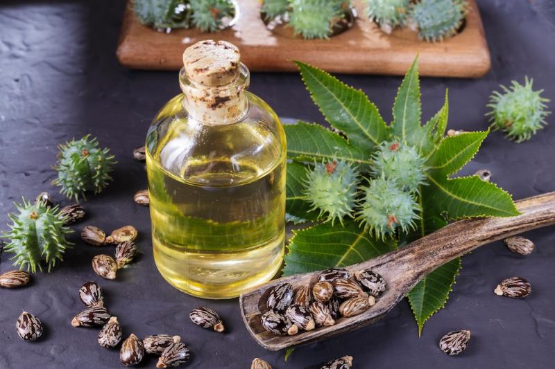 Castor Bean Oil